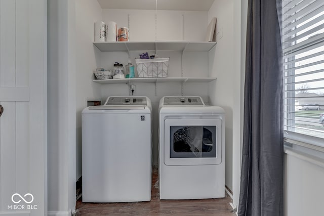 laundry room featuring washing machine and clothes dryer and dark hardwood / wood-style flooring