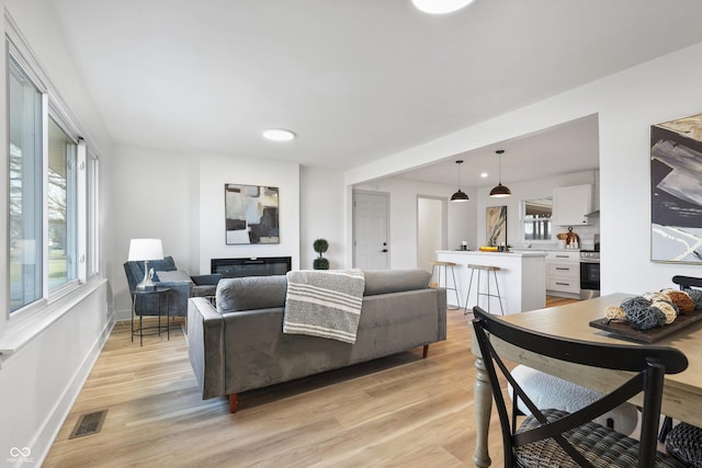 living room featuring a healthy amount of sunlight and light hardwood / wood-style floors