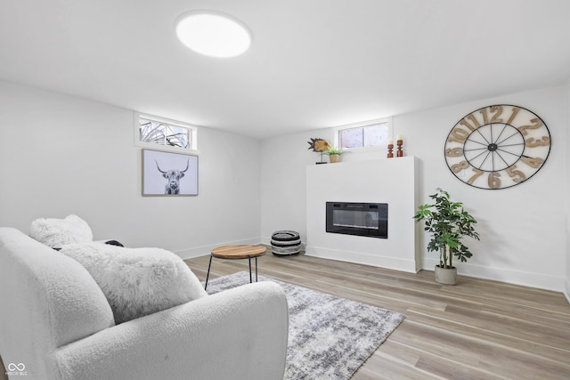 living room featuring hardwood / wood-style floors