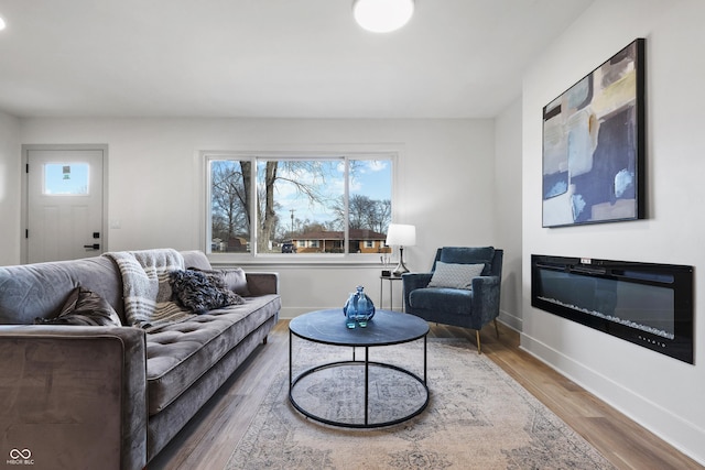 living room featuring hardwood / wood-style flooring