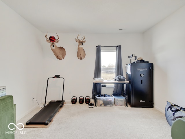 exercise area featuring carpet flooring