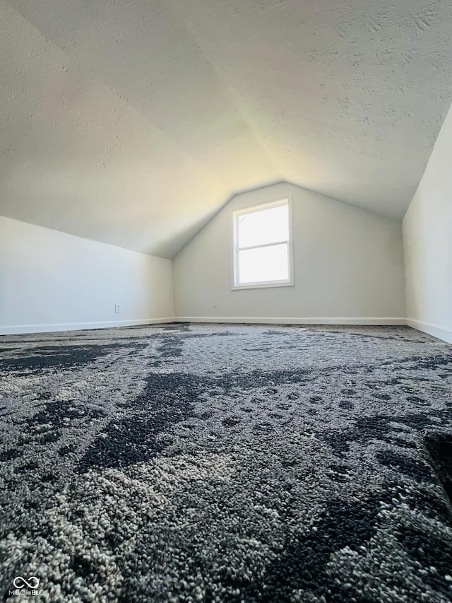 additional living space featuring vaulted ceiling, a textured ceiling, and carpet flooring