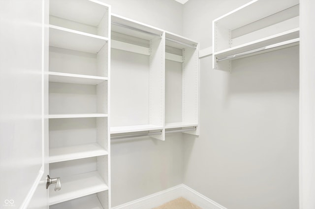 view of spacious closet