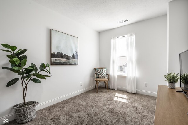 11034 Saddlebred Dr, Indianapolis, IN 46239 - photo 20