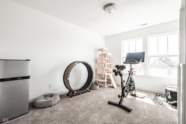 11034 Saddlebred Dr, Indianapolis, IN 46239 - photo 28