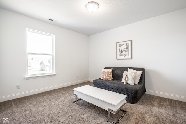11034 Saddlebred Dr, Indianapolis, IN 46239 - photo 27