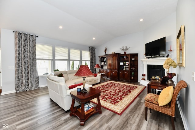 living room with lofted ceiling and wood-type flooring