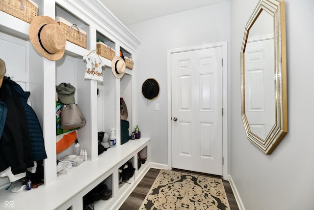 mudroom featuring dark hardwood / wood-style flooring