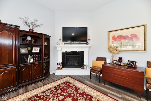 sitting room featuring dark hardwood / wood-style floors