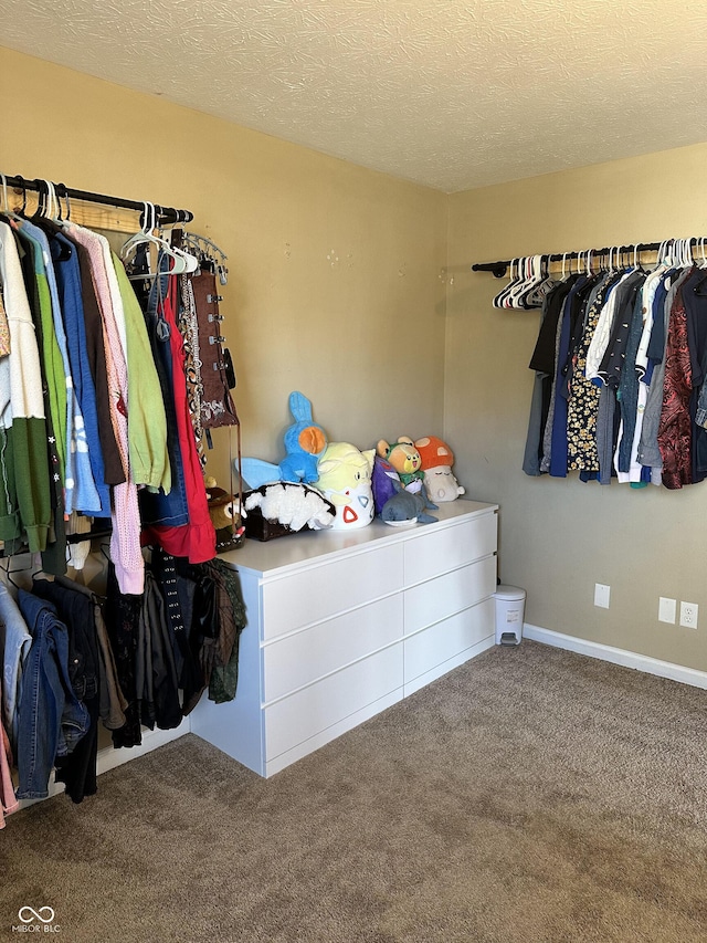 spacious closet with carpet