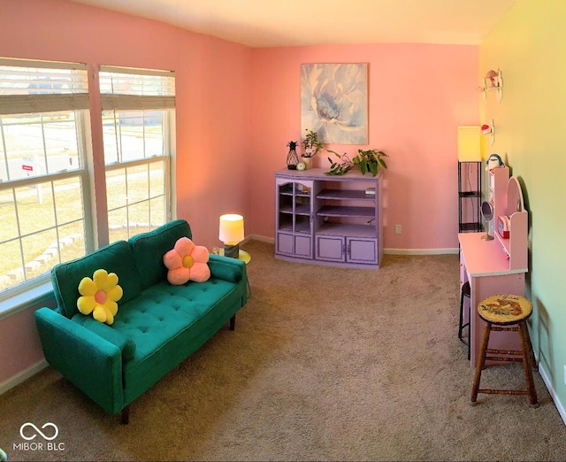 sitting room featuring baseboards and carpet flooring