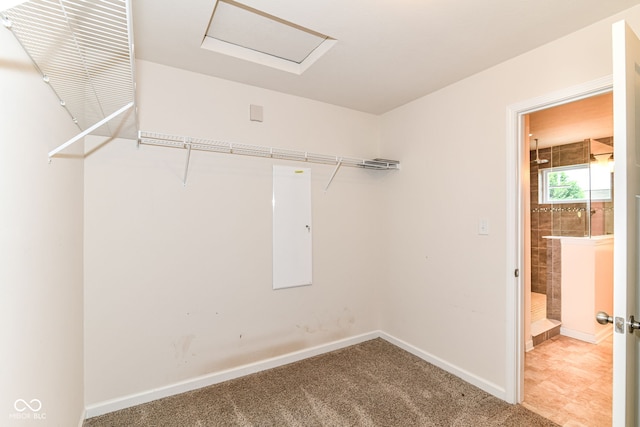 1324 Trailside Dr, Greenwood, IN 46143 - walk in closet with attic access and carpet flooring