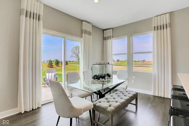 dining space with dark hardwood / wood-style floors