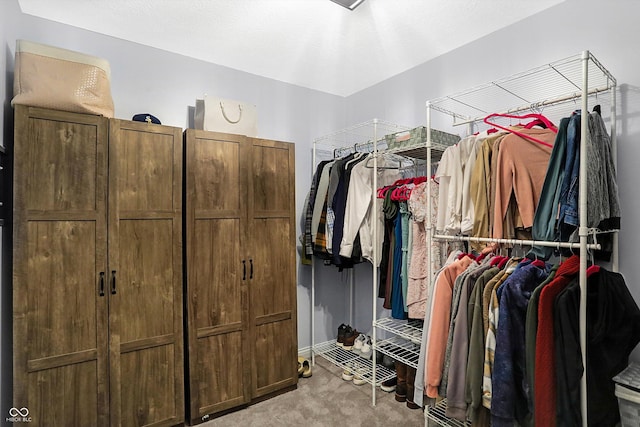 walk in closet with light colored carpet