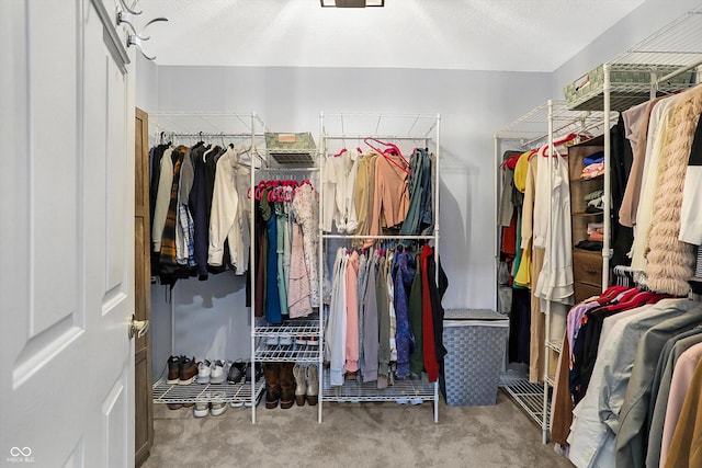 walk in closet with carpet floors