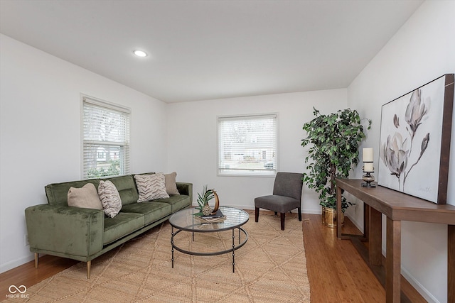 living room with light wood-type flooring