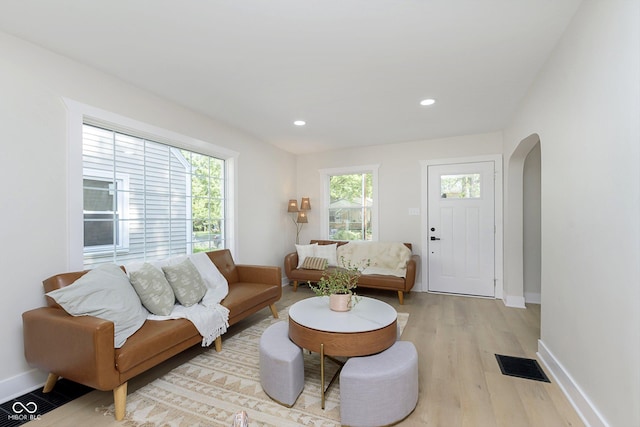 living room featuring light hardwood / wood-style flooring and a wealth of natural light