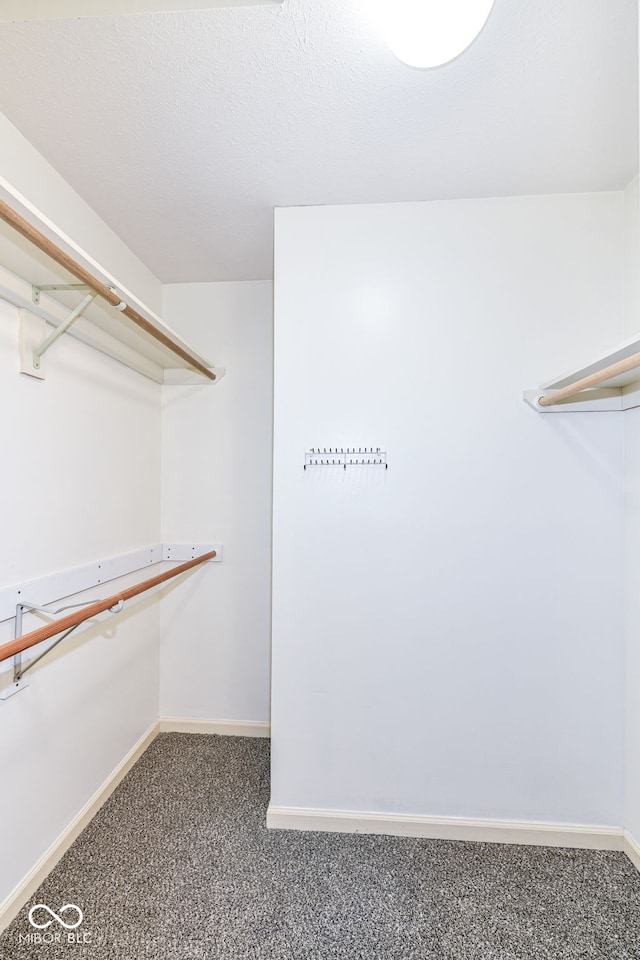 spacious closet with dark colored carpet