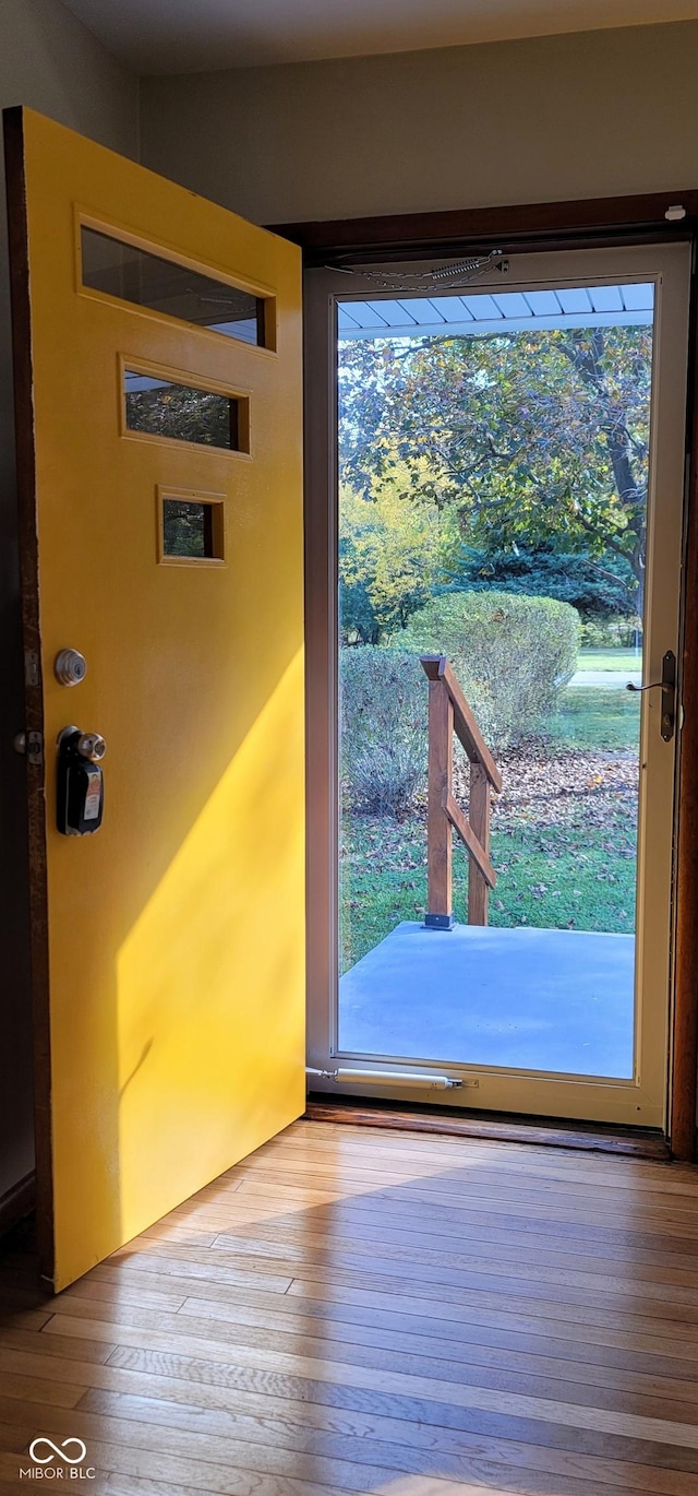 entryway with a healthy amount of sunlight and light wood-type flooring