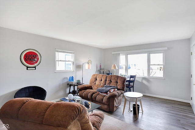 living room featuring wood-type flooring