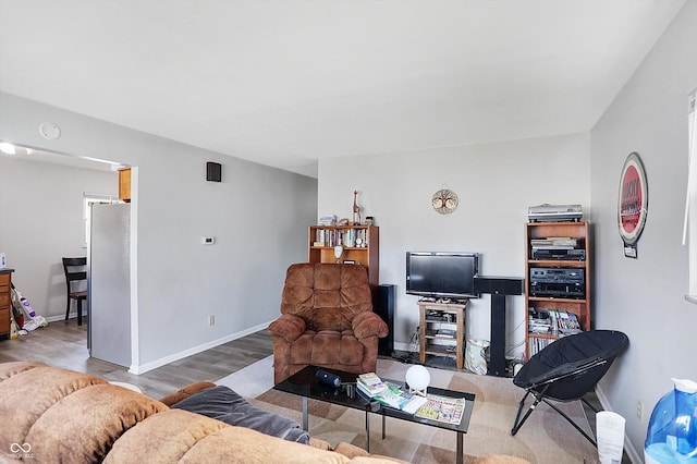 living room with hardwood / wood-style flooring