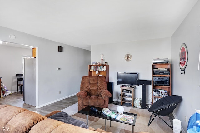 living room with hardwood / wood-style floors