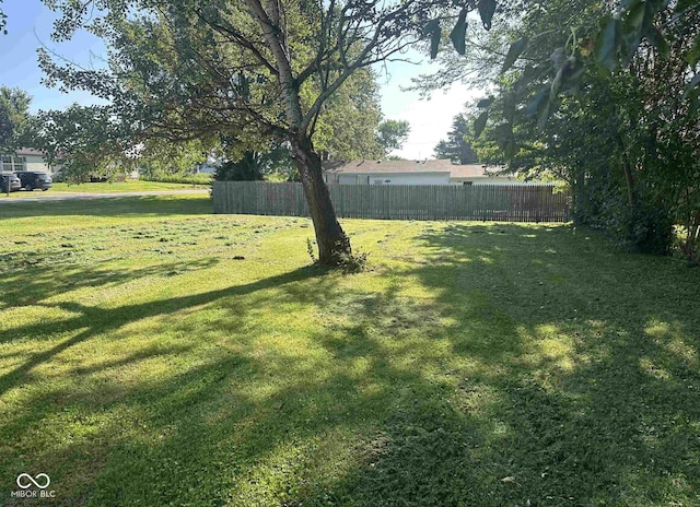 210 N Wayne St, Van Buren, IN 46991 - view of yard