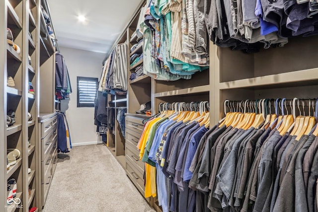 walk in closet featuring light colored carpet