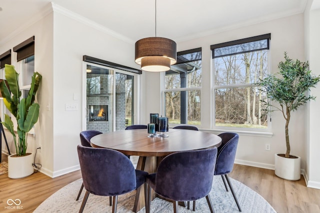 dining space with crown molding, a fireplace, and light hardwood / wood-style floors