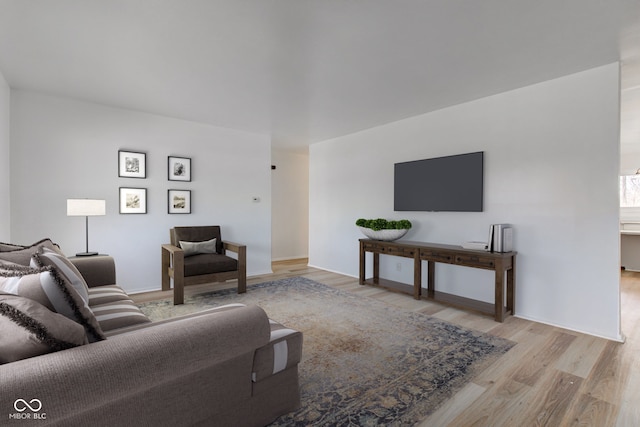 living area featuring wood finished floors