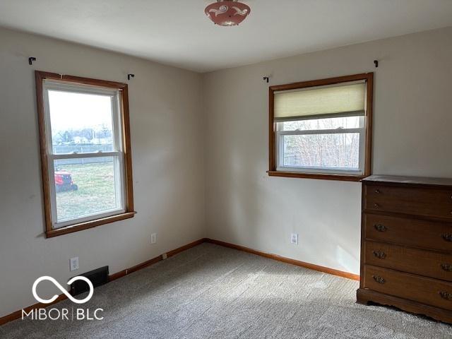 empty room featuring light colored carpet and a wealth of natural light