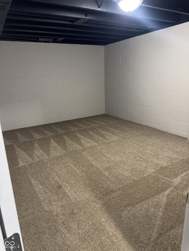 basement featuring carpet