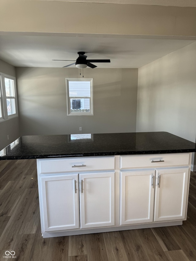 details with wood-type flooring and ceiling fan