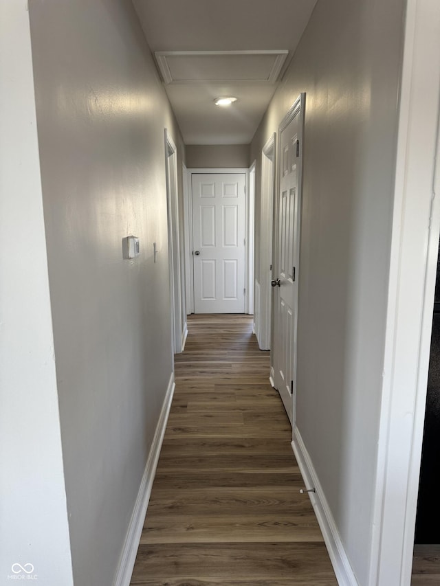 hallway with dark hardwood / wood-style flooring