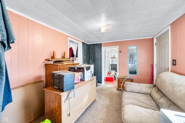 living room featuring carpet floors