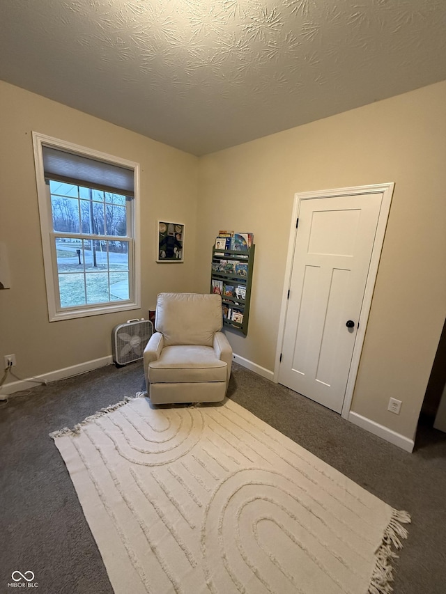 sitting room featuring dark carpet and a textured ceiling