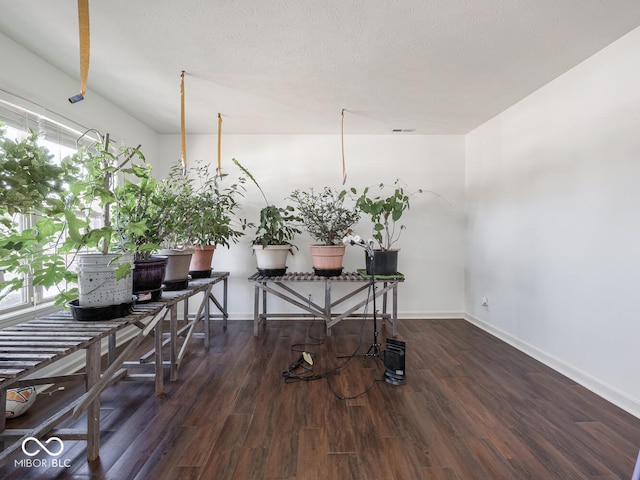 misc room with dark hardwood / wood-style floors and a textured ceiling