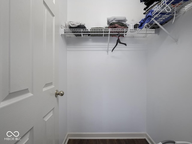 spacious closet featuring dark hardwood / wood-style flooring