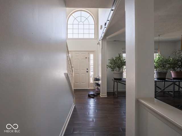 foyer featuring dark hardwood / wood-style flooring