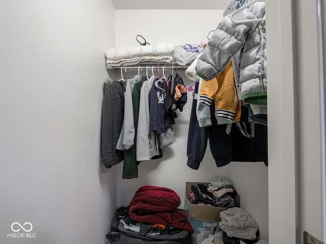 view of spacious closet