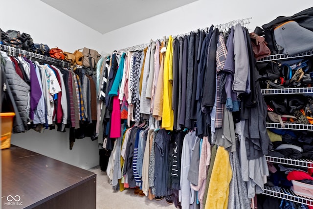 2231 Colfax Ln, Indianapolis, IN 46260 - spacious closet with carpet