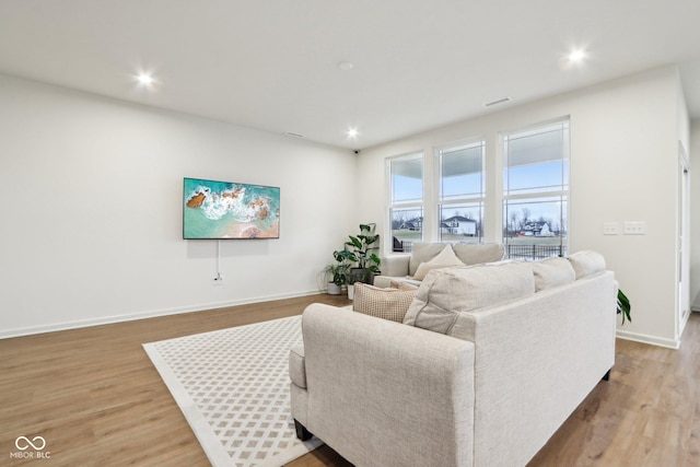 living room featuring wood-type flooring