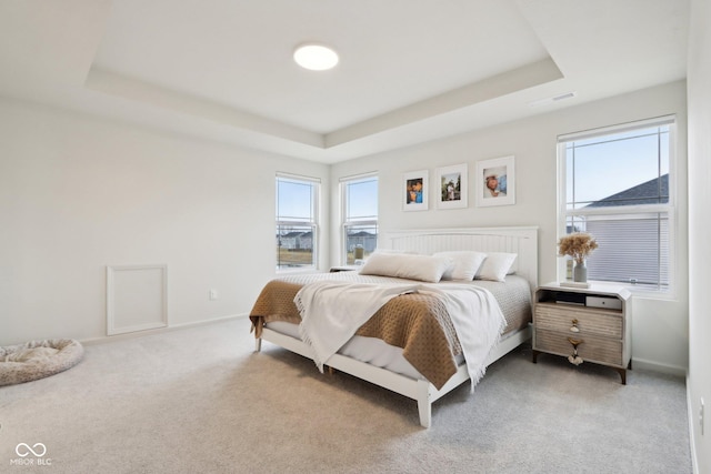 carpeted bedroom with a raised ceiling