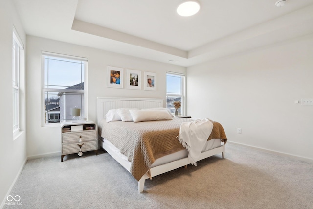 bedroom featuring multiple windows, carpet, and a tray ceiling