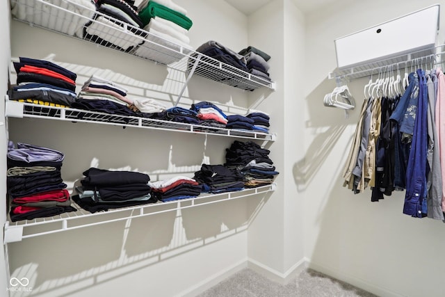 spacious closet with carpet