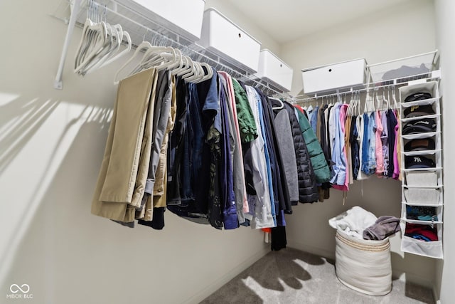 spacious closet featuring carpet flooring