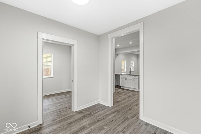 hall with sink, a wealth of natural light, and hardwood / wood-style floors