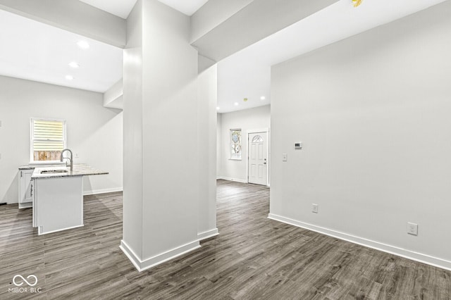 interior space featuring dark wood-type flooring and sink