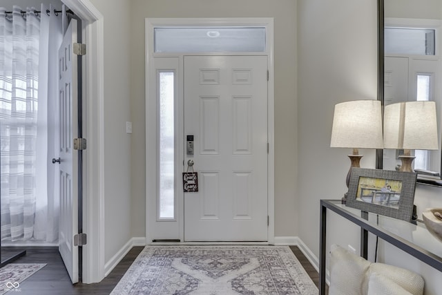 foyer entrance featuring dark wood-type flooring