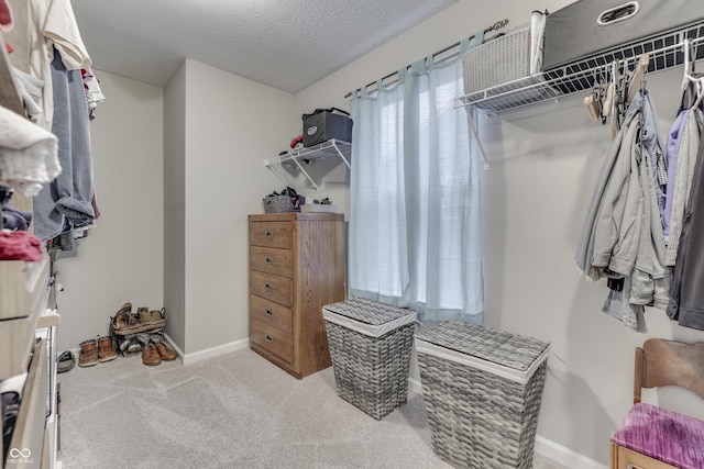 spacious closet with light carpet